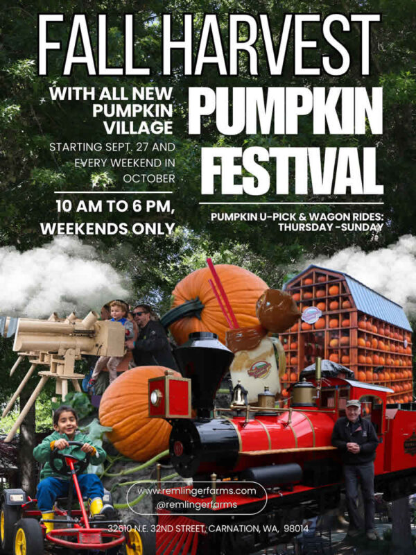 Fall Harvest Pumpkin Festival Admission