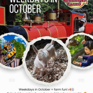 Weekdays in October