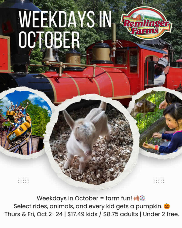 Weekdays in October